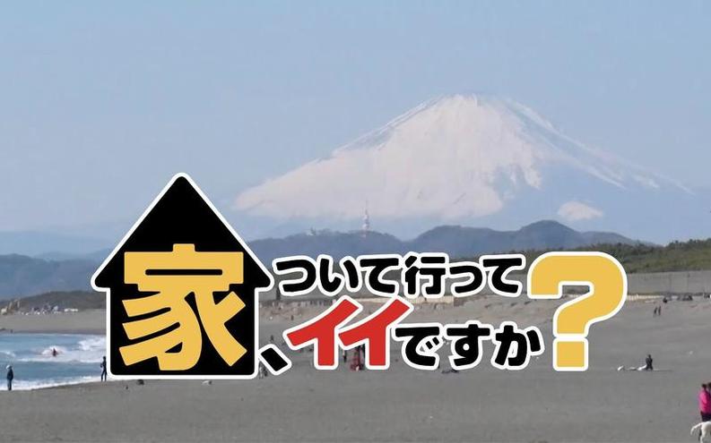 日本综艺节目种类繁多，这里告诉你日本很开放的综艺节目在哪可以看